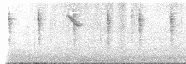 Fan-tailed Warbler - ML614541516