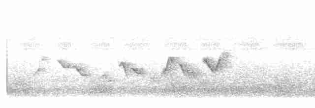 Gray-crowned Yellowthroat - ML614543791