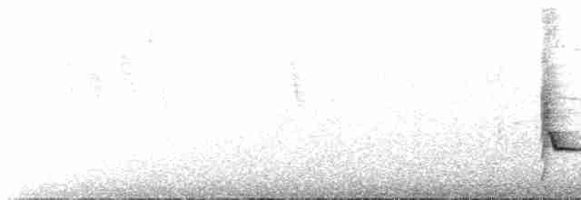 Темноголовый крапивник - ML614543834