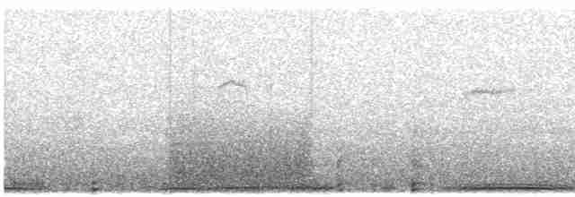 Spot-winged Pigeon - ML614549357