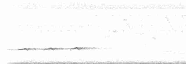 Çatal Kuyruklu Drongo Guguğu - ML614549452