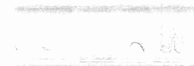 Black-tailed Godwit - ML614554193