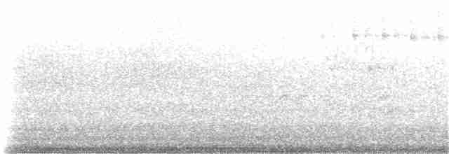 Бледная малая овсянка - ML61455441
