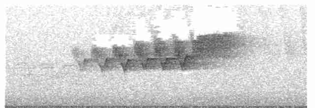 Cerulean Warbler - ML614557172