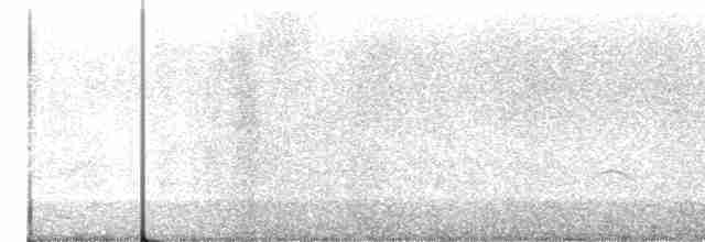 rorýs bělokrký - ML614561129