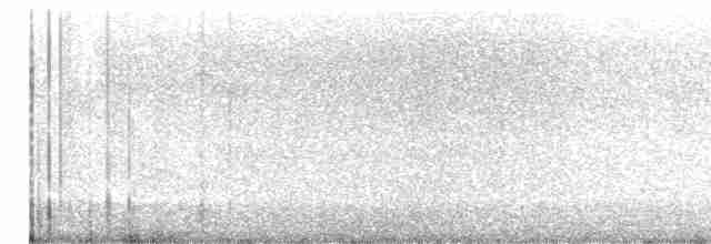 rorýs bělokrký - ML614561130