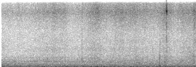Thicket Tinamou - ML614561577