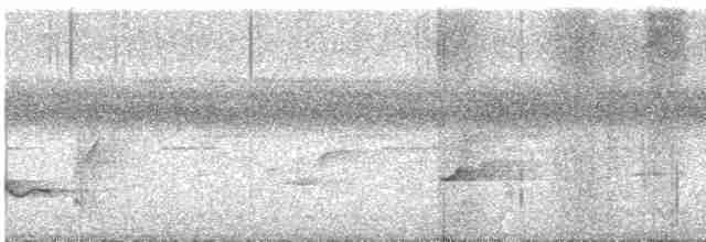 kukačka veverčí - ML614561582