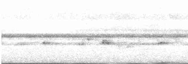 Бледнолицая перепелиная горлица - ML614564898