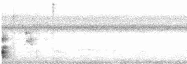 White-mantled Barbet - ML614567124