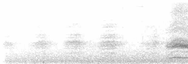 Гребенечуб андійський - ML614568173