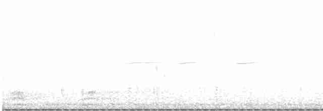 strnadec bělohrdlý - ML614568181