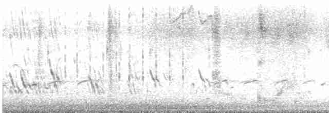 Büyük Mor Kırlangıç - ML614571052