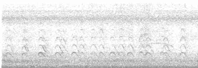אנפית מנגרובים - ML614571223
