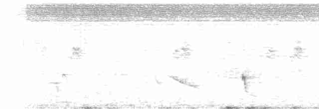 Еленія короткодзьоба - ML614578718
