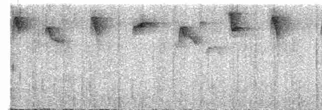 Ерміт-серподзьоб темнохвостий - ML614580827