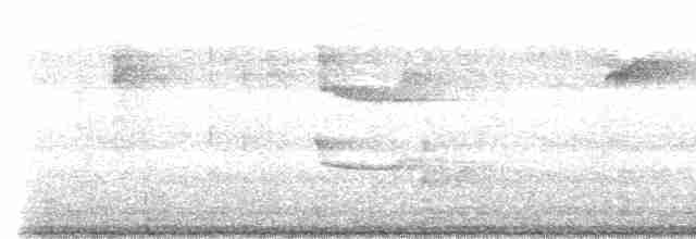 Spot-crowned Woodcreeper - ML614585488