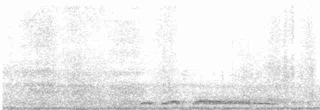 Küpeli Üveyik (chinensis/tigrina) - ML614585921