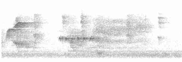 Batı Amerika Sinekkapanı (occidentalis/hellmayri) - ML614588851