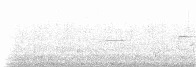 Голубокрылая червеедка - ML61458891