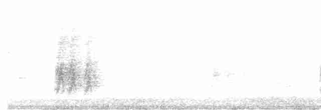 Kırmızı Gagalı Saksağan - ML614591641