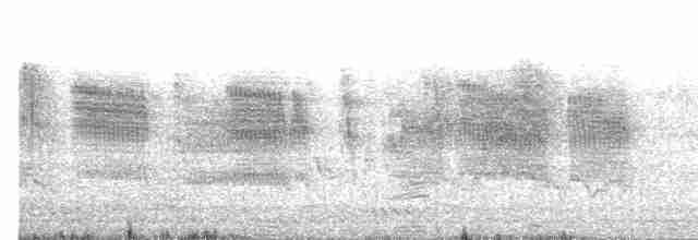 Кратеропа сіролоба - ML614592578