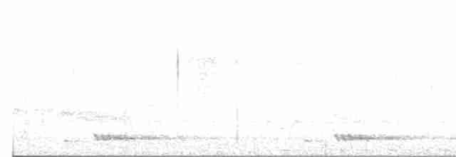White-cheeked Barbet - ML614592721