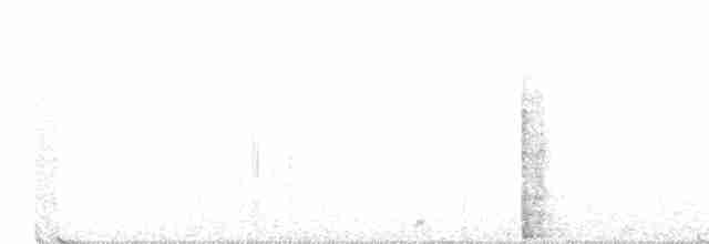 Гребенечуб гвіанський - ML614604499