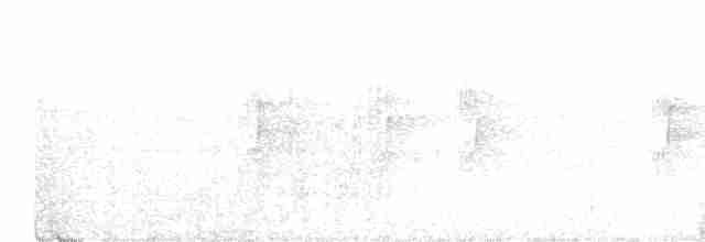 Rostbauch-Ameisenschlüpfer - ML614604505