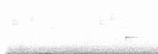 Трупіал-чернець кубинський - ML614607252