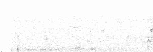 Африканский черноголовый чекан [группа torquatus] - ML614608808