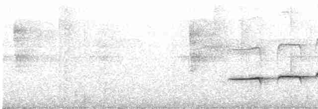 Güneyli Kestanerengi Karıncakuşu - ML614611945