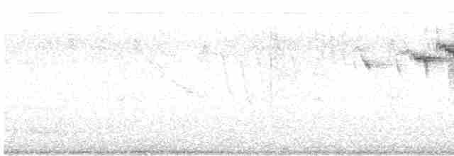 Зерноїд мальований - ML614611984
