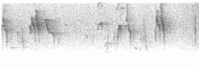 Gri Tepeli Baştankara - ML614616268