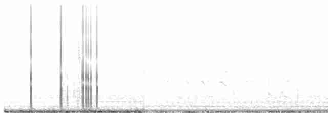 Grulla Trompetera - ML614617234
