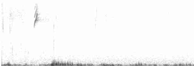 Gray-hooded Sierra Finch - ML614620694