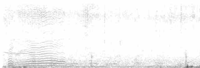Краснолобая лысуха - ML614621600