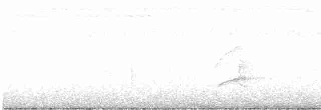 Sarı Karınlı Sinekkapan - ML614621774