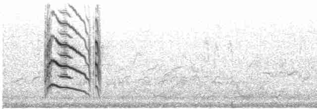 Black Tern (Eurasian) - ML614621832