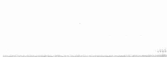 strakapoud americký - ML614622013