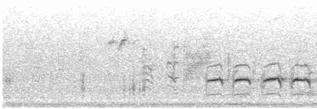 Great Reed Warbler - ML614622502