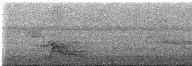 Pauraquenachtschwalbe - ML614624059