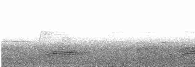 Long-tailed Manakin - ML614624084