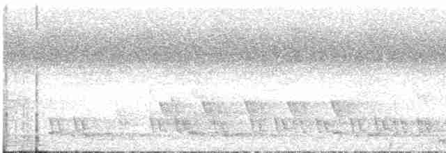 Кораловоклювая воронья кукушка - ML614624660