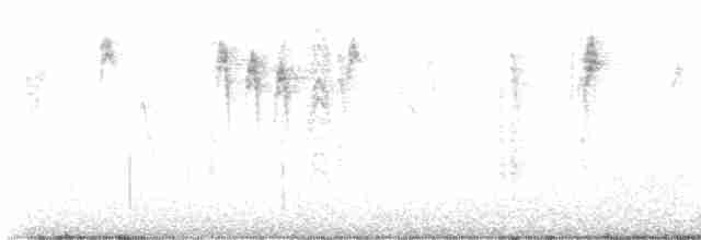 Малая вильсония - ML614625529