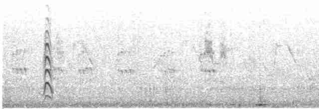שחף אפרורי (אירואסייתי) - ML614625616