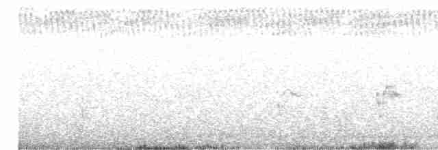 Australian Reed Warbler - ML614631379