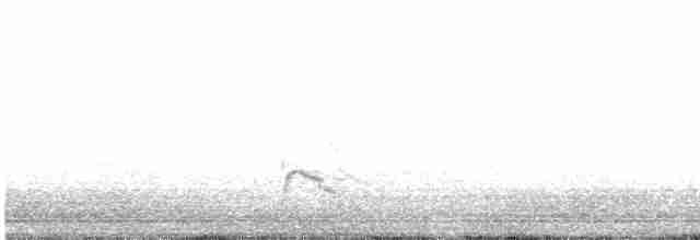 Eurasian Wigeon - ML614632325