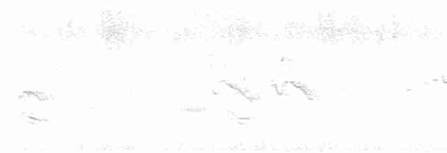 Hawaii-Akepakleidervogel - ML614632369