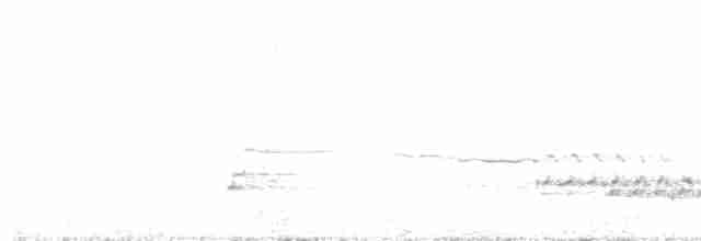 Black Kite (Black-eared) - ML614634167